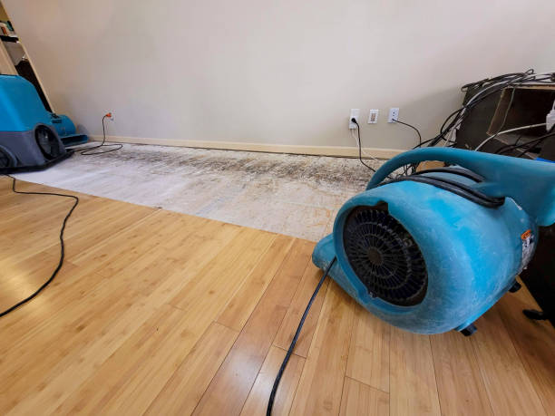 Professional Sewage Cleanup technician working in Archer, FL